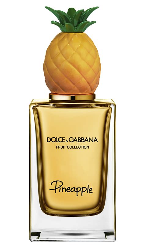 dolce gabbana perfume notas|dolce and gabbana unisex fragrance.